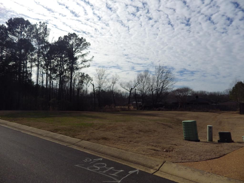Lot 438 Day Lily Drive, Starkville, MS 39759 Main Photo