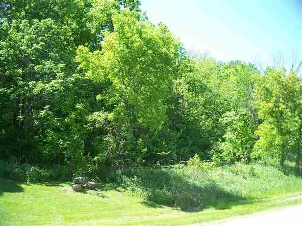 93 Heatherdowns Ln, GALENA, IL 61036