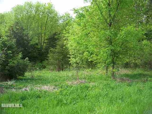 271 Blackhawk Trace, GALENA, IL 61036