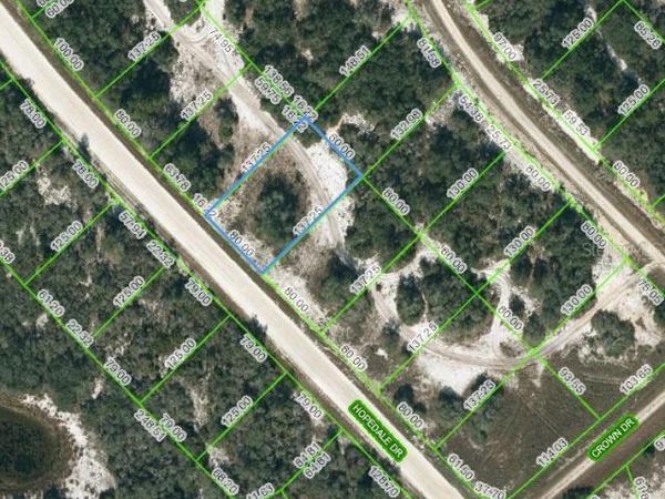 269 HOPEDALE DRIVE, LAKE PLACID, FL 33852