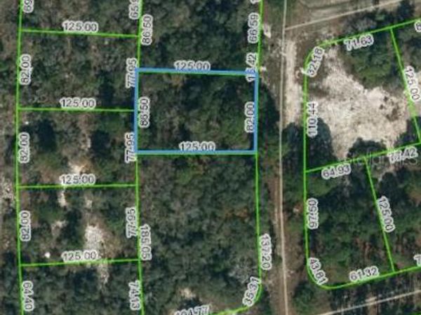 244 BLUE HORIZON DRIVE, LAKE PLACID, FL 33852