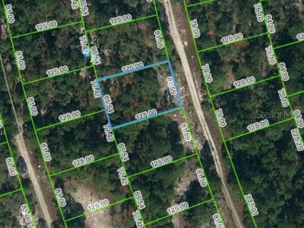 210 FASCINATION DRIVE, LAKE PLACID, FL 33852