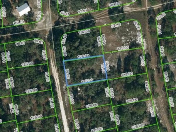 221 FASCINATION DRIVE, LAKE PLACID, FL 33852