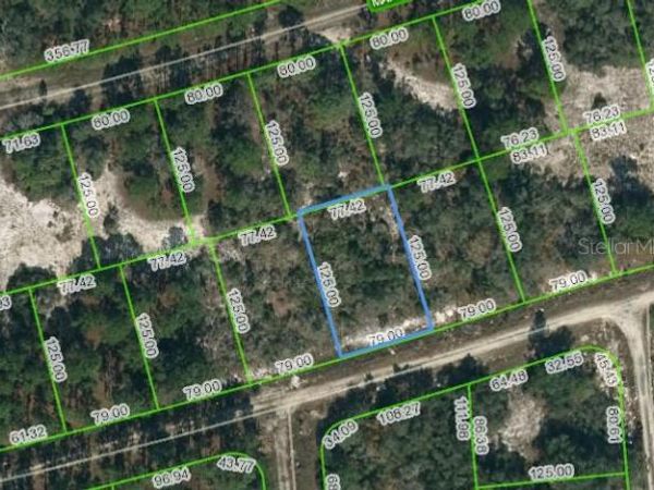 388 CROWN DRIVE, LAKE PLACID, FL 33852