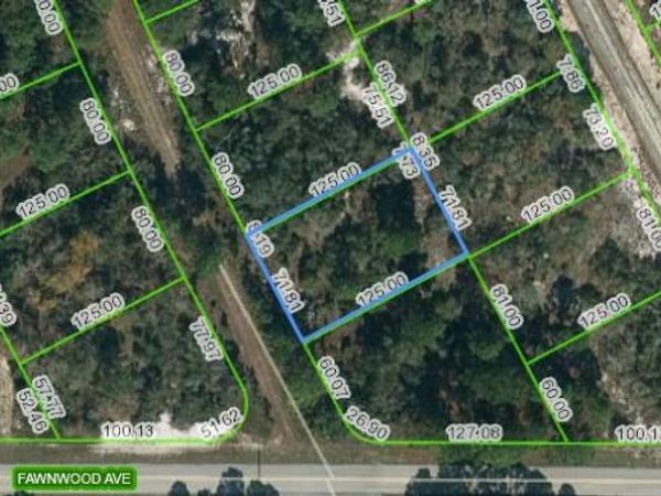 203 BLUE HORIZON DRIVE, LAKE PLACID, FL 33852