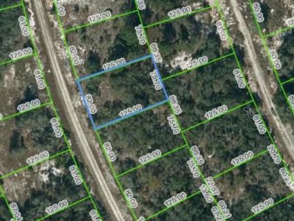 217 BLUE SKY DRIVE, LAKE PLACID, FL 33852