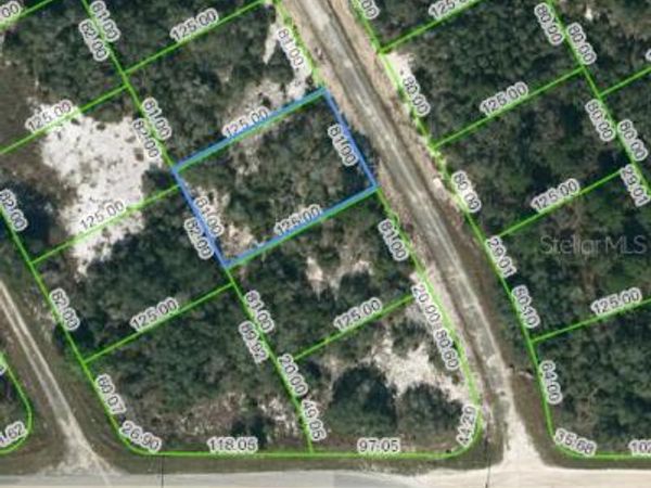 204 DEEP PURPLE DRIVE, LAKE PLACID, FL 33852