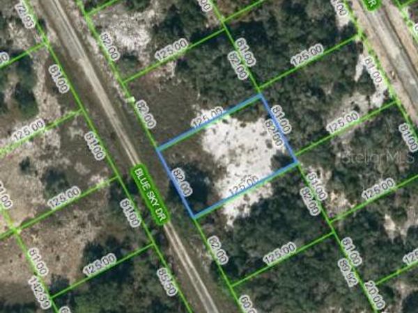 205 BLUE SKY DRIVE, LAKE PLACID, FL 33852
