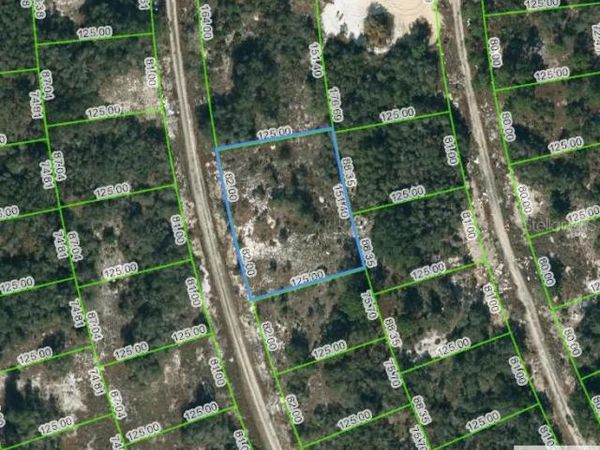 223 BLUE SKY DRIVE, LAKE PLACID, FL 33852