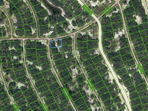 413 CROWN DRIVE, LAKE PLACID, FL 33852