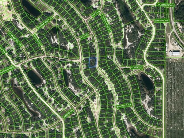 258 LAKEWAY DRIVE, LAKE PLACID, FL 33852