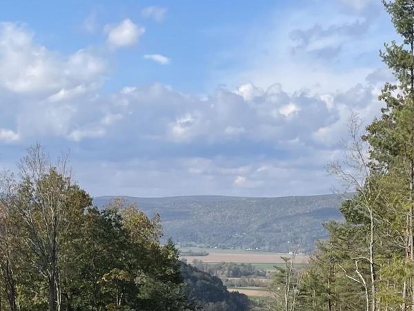 000 HUNTERSLAND Road, Middleburgh, NY 12122