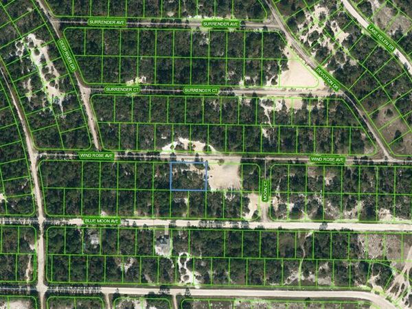 417 WIND ROSE AVENUE, LAKE PLACID, FL 33852