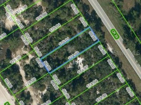 1025 COUNTY ROAD 29, LAKE PLACID, FL 33852