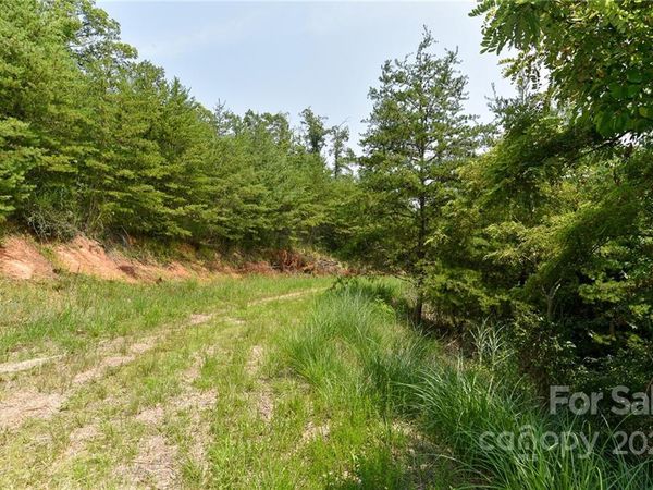 Lot 9 The Vines Boulevard, Marshall, NC 28753