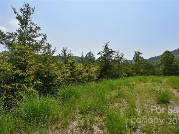 113 Chardonnay Avenue, Marshall, NC 28753