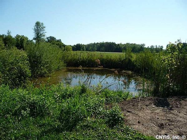 0 Route 13, Canastota, NY 13032