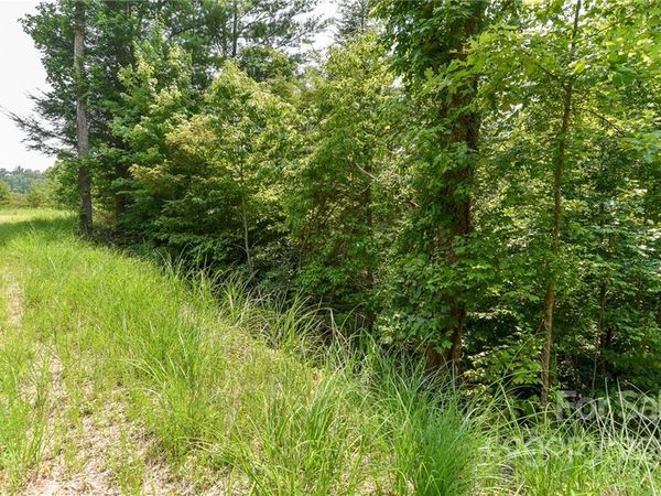 Lot 12 The Vines Boulevard, Marshall, NC 28753