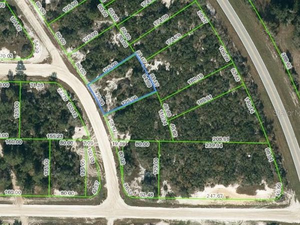 752 MORNINGSIDE DRIVE, LAKE PLACID, FL 33852