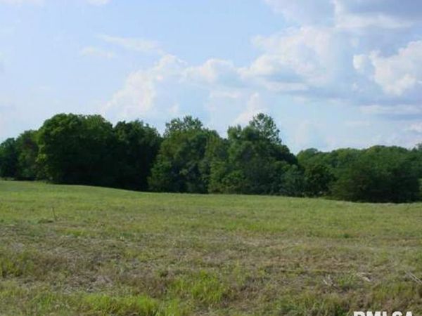 #1 E BLUFF Drive, Petersburg, IL 62675