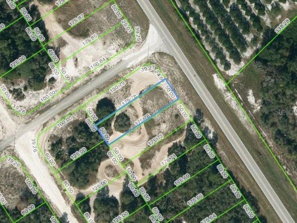 941 COUNTY ROAD 29, LAKE PLACID, FL 33852