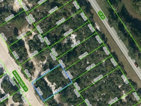 712 MORNINGSIDE DRIVE, LAKE PLACID, FL 33852