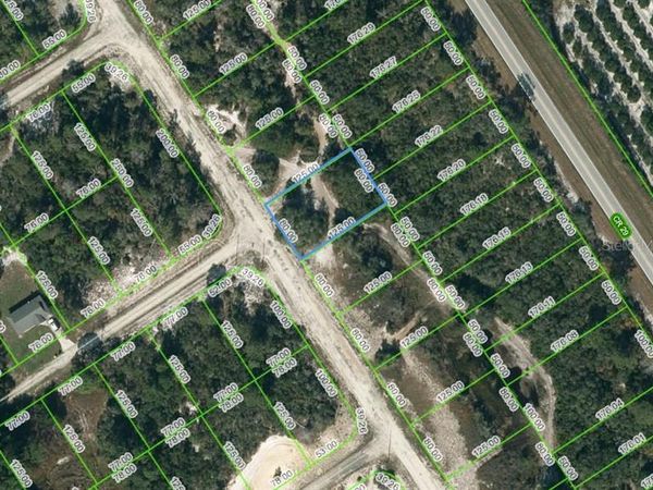 580 MORNINGSIDE DRIVE, LAKE PLACID, FL 33852