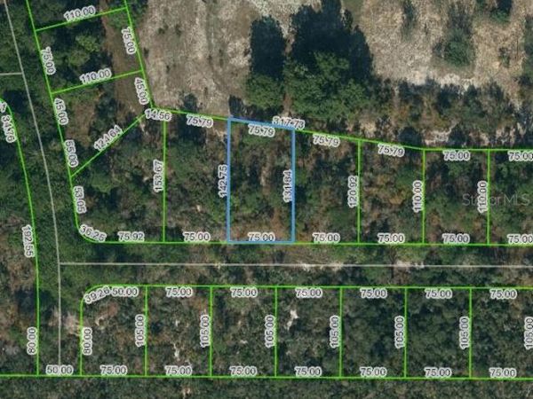 136 CLAVERLAND DRIVE, LAKE PLACID, FL 33852