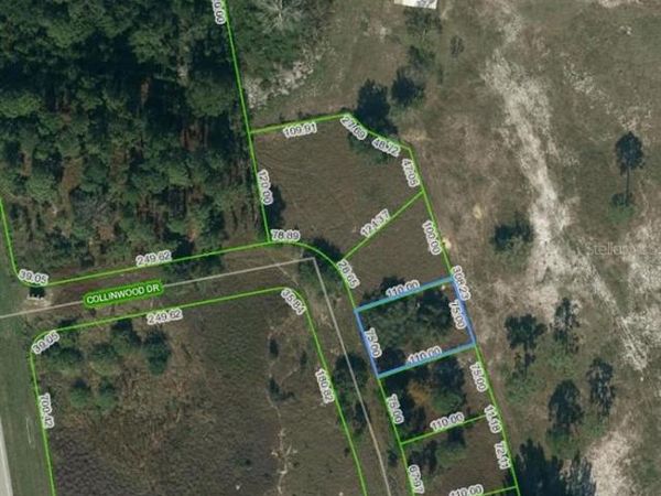 132 COLLINWOOD DRIVE, LAKE PLACID, FL 33852