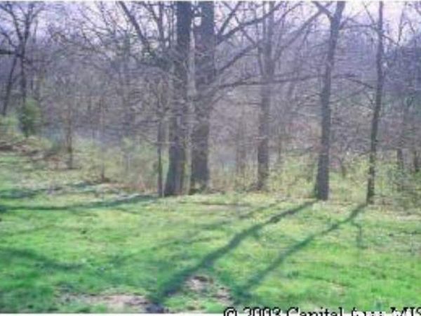 27 E BLUFF Circle, Petersburg, IL 62675