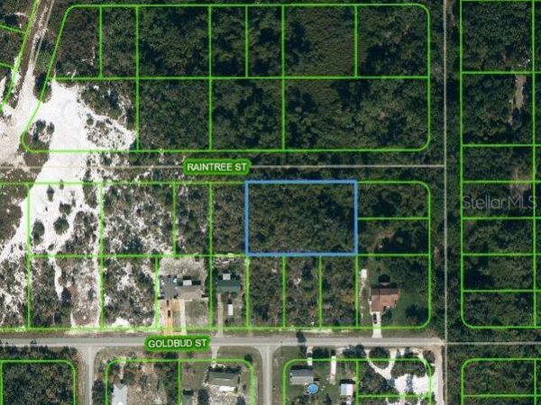1515 RAINTREE STREET, LAKE PLACID, FL 33852