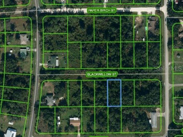 1505 PRENTICE STREET, LAKE PLACID, FL 33852
