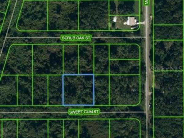1510 SWEET GUM STREET, LAKE PLACID, FL 33852