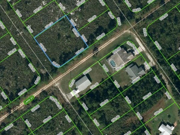 601 BOTTLEBRUSH AVENUE, LAKE PLACID, FL 33852