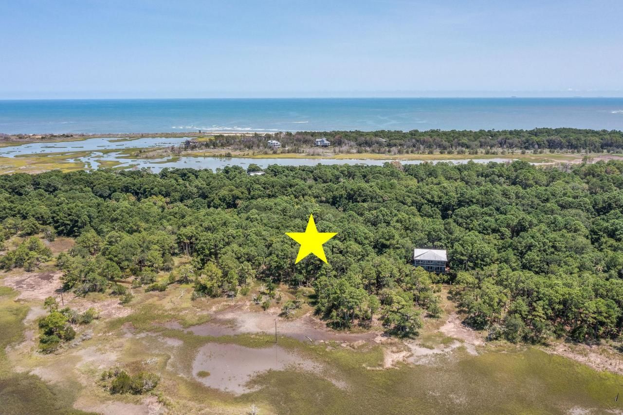 318 Old House Lane Photo 10