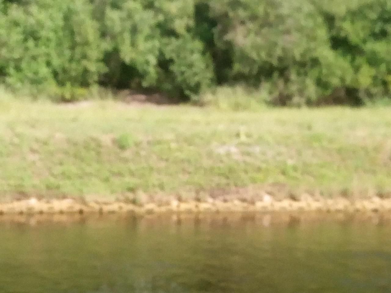 24 Hastings Lane, Boynton Beach, FL 33426 Photo