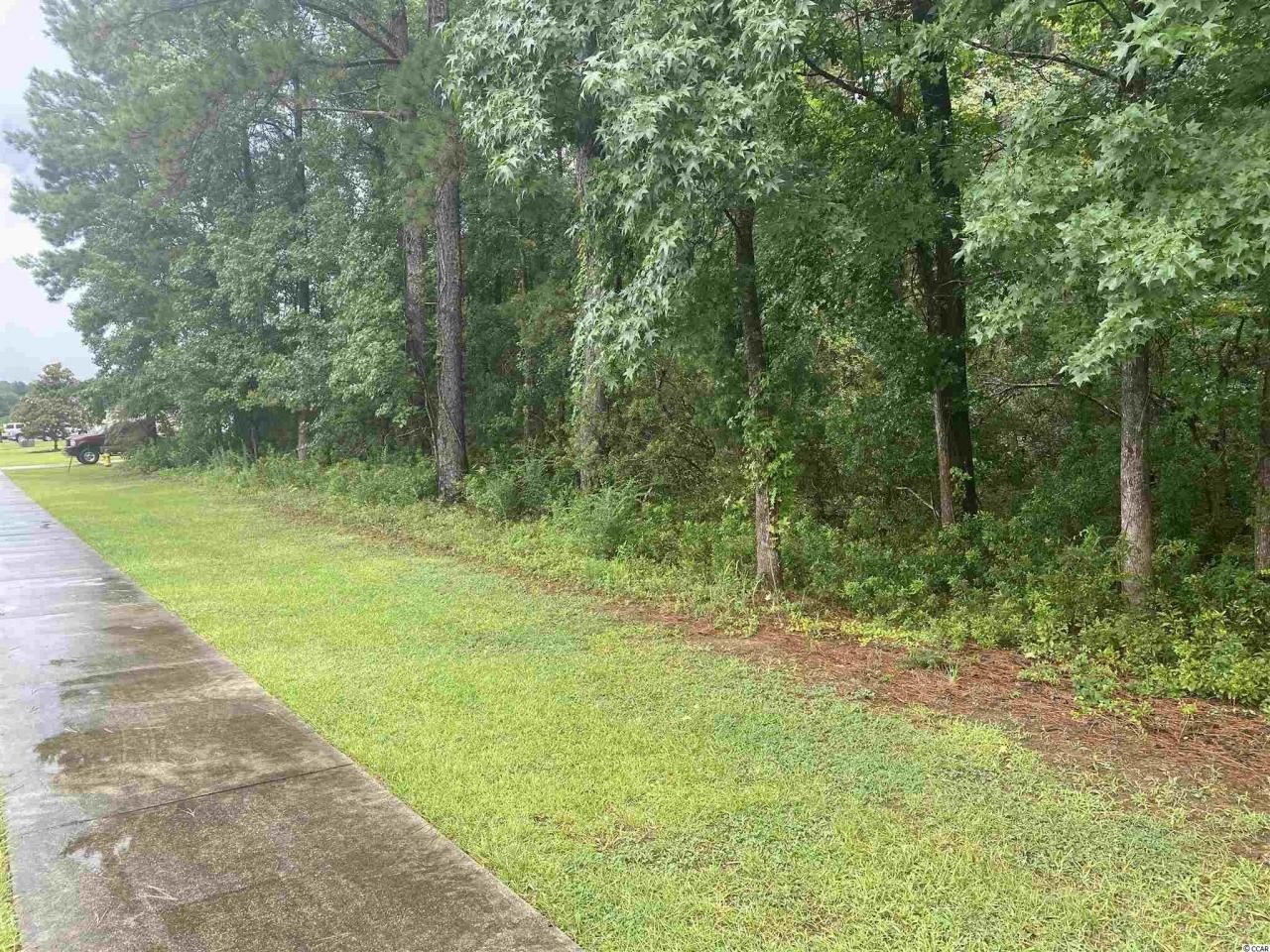 2626 Highway 378 Photo 4