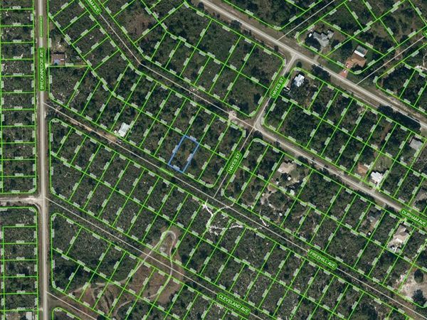 1034 FREEHILL AVENUE, LAKE PLACID, FL 33852