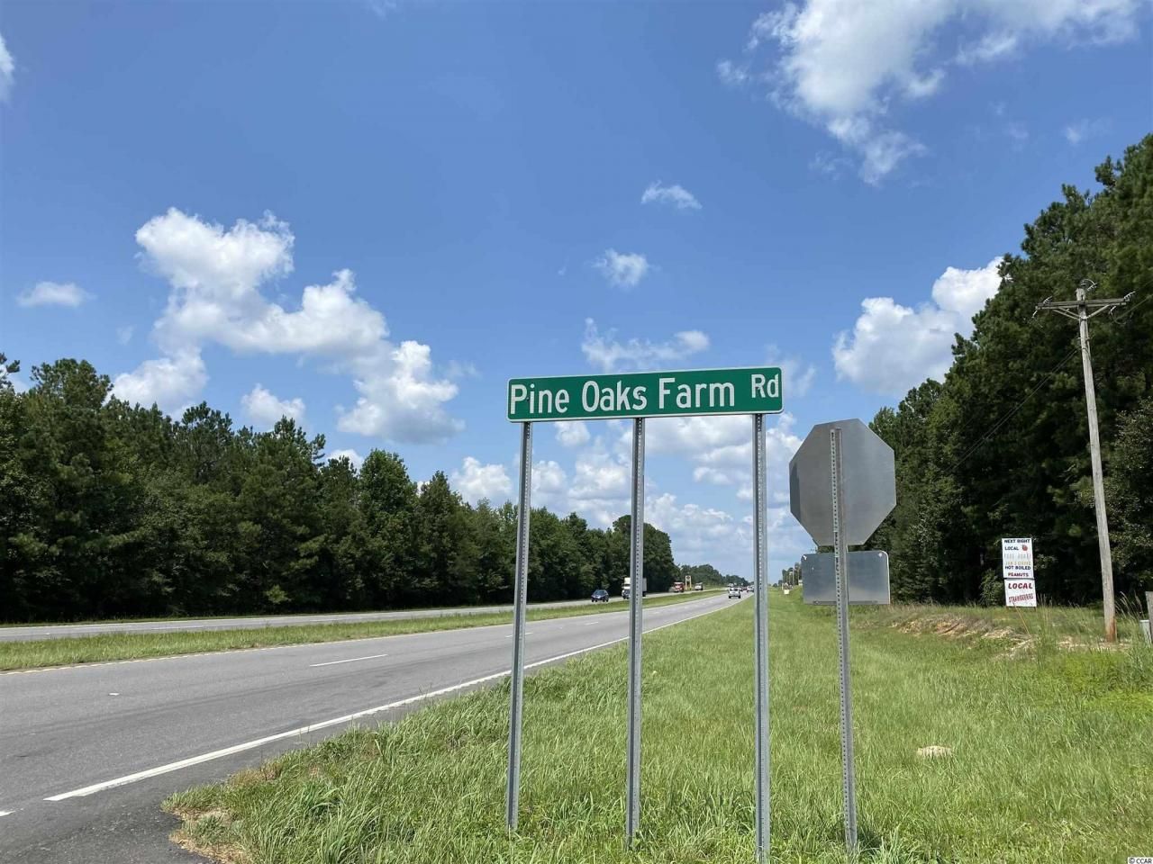 Tbd Highway 501 Photo 16