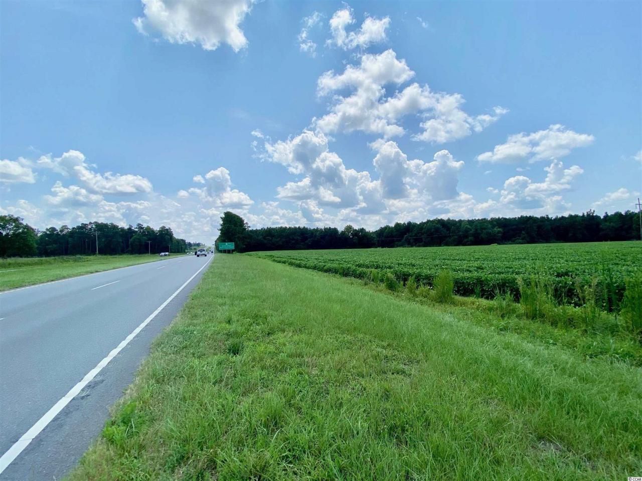 Tbd Highway 501 Photo 17