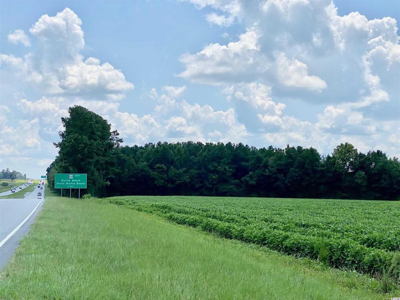 Tbd Highway 501 Photo 19