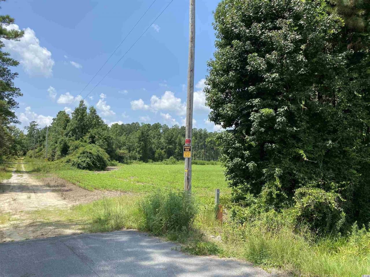 Tbd Highway 501 Photo 22