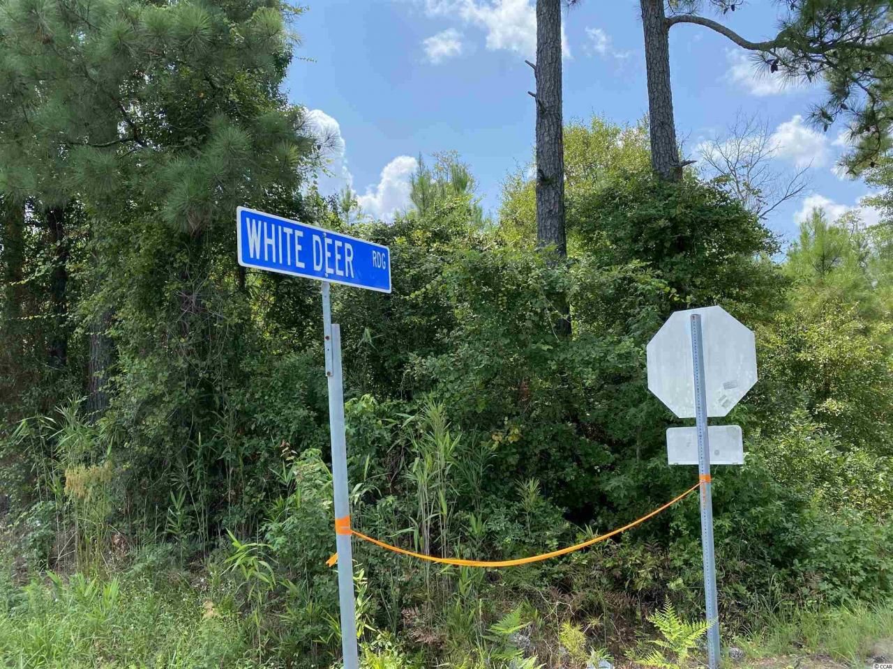 Tbd Highway 501 Photo 23