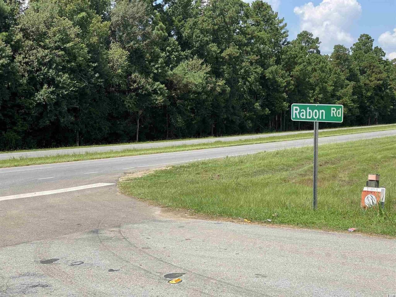 Tbd Highway 501 Photo 4