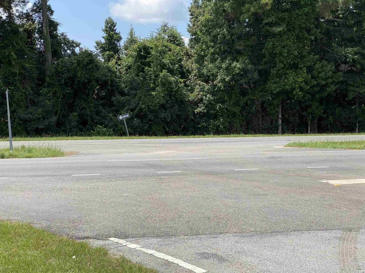 Tbd Highway 501 Photo 5