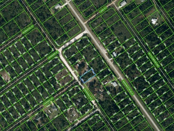 557 PERSHING AVENUE, LAKE PLACID, FL 33852