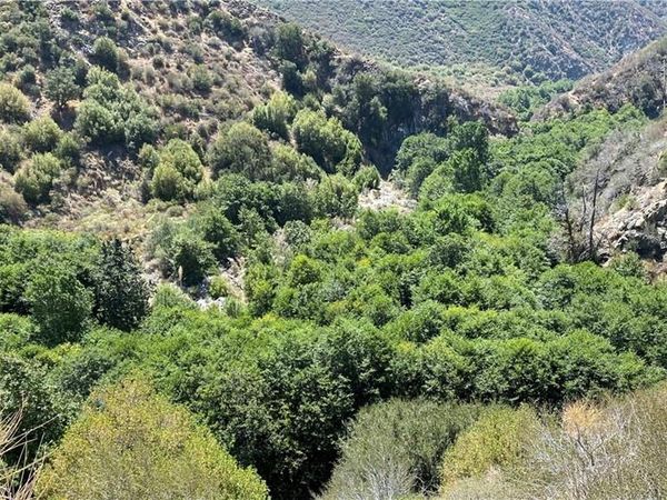 14 Tract 6864, Mt Baldy, CA 91759