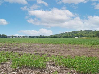 10825 Edgewood Road, Harrison Twp, OH 45030