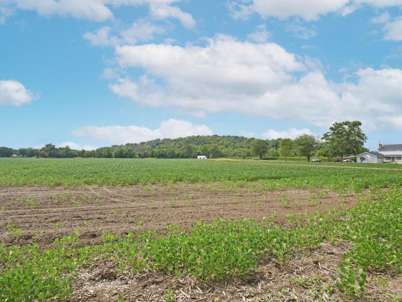 10825 Edgewood Road, Harrison Twp, OH 45030 Photo 2