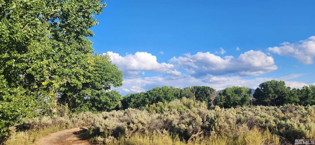 5155 E Hwy 50, Carson City, NV 89701 Photo